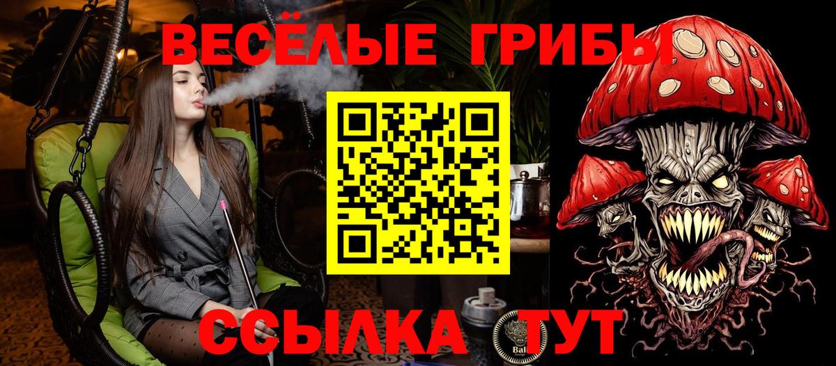 Псилоцибиновые грибы GOLDEN TEACHER  Вход с VPN  Псилоцибиновые грибы Psilocybine cubensis  Черногорск 
