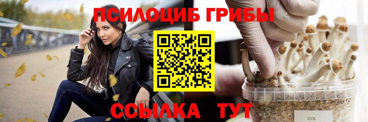 Псилоцибиновые грибы Cubensis Черногорск